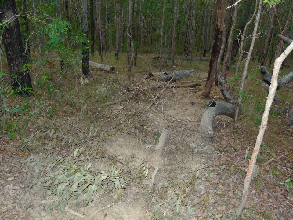 P1140383 (1).jpg